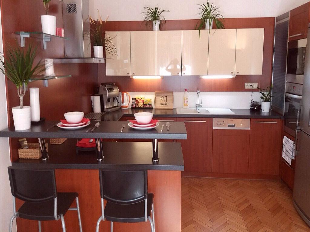 Spacious 3bdr Wenceslas Square Praga